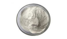 What Is the Function of Trypsin?