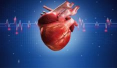 The Clinical Significance of Troponin