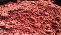 What Do You Know about Picramic Acid?