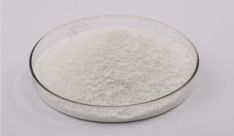 Do Collagen Peptides really Work?