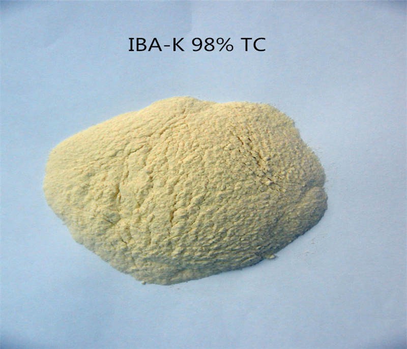 IBA-K SALT  CAS No.:60096-23-3