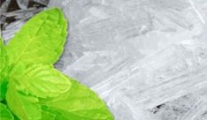 Things You Need to Know about Menthol