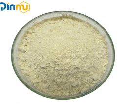 2-Fluoro-4-nitroanisole CAS No.:455-93-6