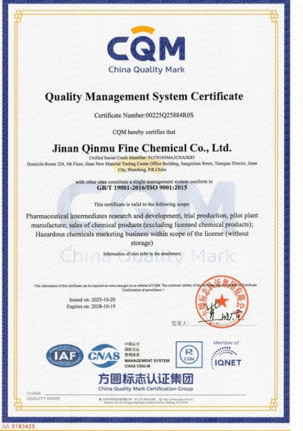 ISO9001